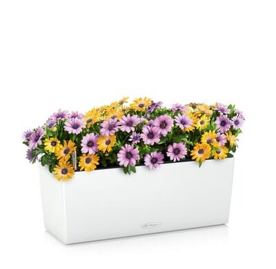 BALCONERA Color hvit balkongkasse blomsterkasse selvvanningskasse plantekasse lechuza blomsterkasseriet.jpg