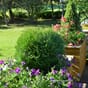 Isolert blomsterkasse impregnert furu plantekasse blomsterkasser blomsterkasseriet uterom terrasse store blomsterkasser rr kopi.jpg