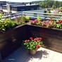 Isolerte blomsterkasser fra Blomsterkasseriet imp.furu terrasse balkong veranda uterom sommer beplanting variert blomlådor 1.jpg