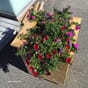 Isolerte blomsterkasser impregnert furu 50x50x60cm LBH store plantekasser kopi.jpg
