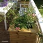 Stor høy plantekasse blomsterkasse blomsterkasser terrasse blomsterkasseriet trekasse isolert balkong.jpg