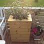 Stor høy smal plantekasse blomsterkasser plantekasser blomsterkasseriet terrasse trekasse isolert.jpg