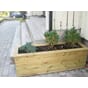 Stor isolert blomsterkasse blomsterkasseriet plantekasse plantekasser inngangsparti uterom hage vintergrønt furu.jpg
