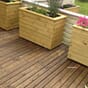 Store plantekasser isolerte blomsterkasser plantekasse blomsterkasse blomsterkasseriet vintergrønt roser.jpg