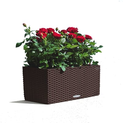 Balconera 50 cottage blomsterkasser balkongkasser selvvannende terrasse balkong Lechuza Blomsterkasseriet hvit.jpg