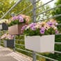 BALCONERA Color 50 balkongkasser plantekasser selvvanningskasse lechuza blomsterkasseriet.jpg