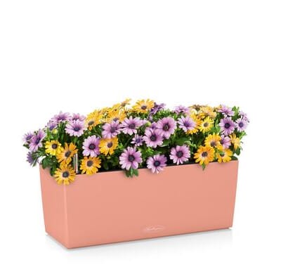 BALCONERA Color 50 koral rød balkongkasse blomsterkasse selvvanningskasse terrasse balkong lechuza.jpg