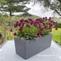 Balconera Color 50 lechuza balkongkasse plantekasse grå blomsterkasse kopi.jpg