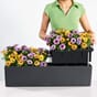 Balconera color 80 lechuza blomsterkasseriet balkongkasser terrasse_2.jpg