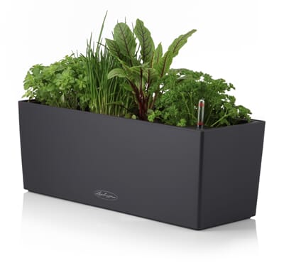 Balconera Color skifergrå plantekasse selvvanningskasse lechuza blomsterkasseriet balkongkasse.jpg