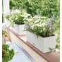 Balconera Cottage 50 balkongkasser balkongkasse selvanningskasser plantekasse lechuza blomsterkasseriet.jpg