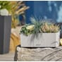 Balconera cottage 50 lysegrå balkongkasse plantekasse blomsterkasse selvvanningskasse lechuza blomsterkasseriet kopi.jpg