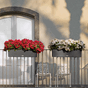 BALCONERA Cottage 80 granitt balkongkasse selvvanningskasse alt i ett sett lechuza blomsterkasseriet blomster planter terrasse plantekasse 2_1.png