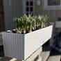 Balconera Cottage  80 Hvit balkongkasser plantekasser terrasse balkong uterom plantekasse Lechuza blomsterkasseriet kasse 3 kopi.jpg