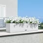 Balconera Cottage  80 Hvit balkongkasser plantekasser terrasse balkong uterom plantekasse Lechuza blomsterkasseriet kasse.jpg