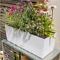 Balconera stone 50 hvit balkongkasse selvvanningskasse blomsterkasse plantekasse terrasse lechuza blomsterkasseriet.jpg