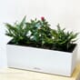Balconera Stone 50 quartz hvit balkongkasse blomsterkasse plantekasse selvvanning lechuza blomsterkasseriet kontor.jpg