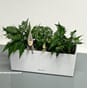 Balconera Stone 50 quartz hvit balkongkasse urtekasse  lovi alv alvejente juledekor interiør balkongkasse lechuza 3 kopi.jpg