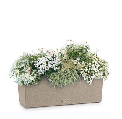 BALCONERA Stone 50 sandbeige plantekasse balkongkasse selvvanningskasse lechuza blomsterkasseriet terrasse gelender rekkverk vegg balkong urtekasse.jp