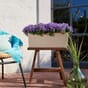 BALCONERA Stone 50 sandbeige plantekasse selvvanningskasse blomsterkasse balkongkasse selvvanningskasse blomsterkasseriet lechuza.jpg