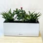 Balconera Stone quartz hvit balkongkasse balkongkasse blomsterkasser selvvanning lechuza plantekasse blomsterkasseriet.jpg