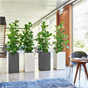 Canto Premium 40 High plantekasser blomsterkasser innendørs hvit grå antrasitt hjul interiør kontor lechuza blomsterkasseriet.png