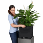 Canto premium 40 plantekasse uttakbar innvendig plantekasse innendørs utendørs lechuza.png