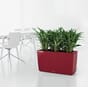 Cararo plantekasse blomsterkasse selvvanningskasse kontorlandskap resturant hotel stue hjem interiør lechuza blomsterkasseriet.jpg