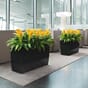 Cararo plantekasse plantekasser blomsterkasser blomsterkasse beplanting innendørs innemiljø kontorlandskap selvvannende Lechuza Blomsterkasseriet.jpg