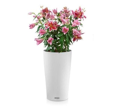 CILINDRO Color plantekrukke selvvanningspotte elegant designkrukke lechuza blomsterkasseriet.jpg