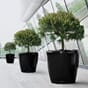 CLASSICO 70 sort høyglans plantekrukke xl blomsterkrukke krukke krukker potte potter blomsterkasseriet lechuza planter trær uterom hage park kjøpesent