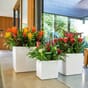 Cube 30 40 og 50 Blomsterkasseriet Lechuza blomsterkasse plantekasser innendørs selvvannende stue kontor kantine kontorlandskap 1.jpg
