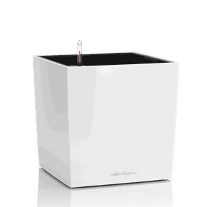 Cube 30 Hvit Høyglans blomsterkasse plantekasse selvvanningskasse bordbeplantning selvvanning