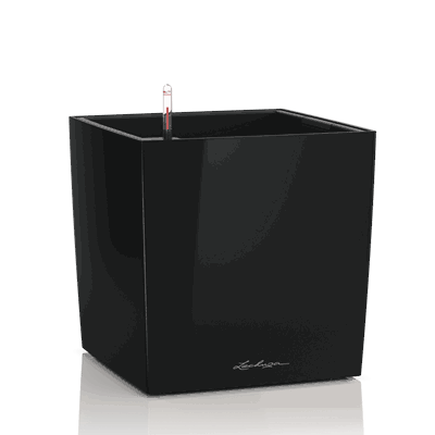 CUBE 30 sort høyglans plantekasse selvvanningskasse blomsterkasse lechuza blomsterkasseriet.png