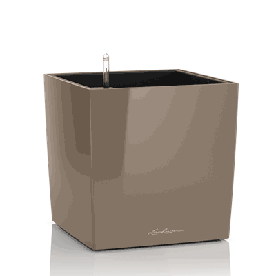 CUBE 40 shiny taupe lys brun beige blomsterkasse plantekasse lechuza blomsterkasseriet.png