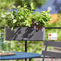 Cube color triple skifergrå balkongkasse selvvanningskasse urtekasse urtepotte lechuza.png