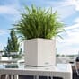 CUBE Cottage 30 hvit blomsterkasse selvvanningskasse bordbeplantning plantekasse krukke selvvanning.jpg