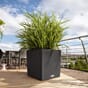 CUBE Cottage 30 plantekasse selvvanningskasse blomsterkasseriet lechuza_2.jpg