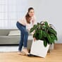 CUBE Cottage 50 hvit blomsterkasse plantekasse hjul selvvanningskasse terrasse stue lechuza_1.jpg