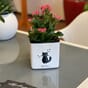 Cube Glossy 14 cat hvit katt katter blomsterpotte blomsterkrukke urtepotte selvvanning lechuza blomsterkasseriet interiør design.jpg
