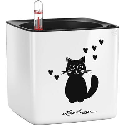 Cube glossy cat 14 hvit urtepotte krukke blomsterpottee lechuza.jpg