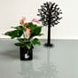 Cube glossy cat 14 sort høyglans urtepotte urtekrukke lovi tre 55cm sort svart selvvanningspotte lechuza blomsterkasseriet interiør.jpg