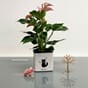 Cube glossy cat hvit 14 urtepotte urtekrukke blomsterpotte lechuza blomsterkasseriet lovi cat season tree rosa natural wood interiør.jpg