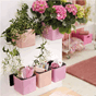 Cube glossy kiss 14 urtepotte krukk blomsterpotte krukker lechuza rosa blomsterkasseriet.png