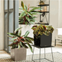 Cube premium 40 30 50 plantekasse svart sort brun hvit lechuza_1.png