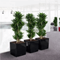 cube premium 40 plantekasse blomsterkasse svart sort interiør kontorlandskap selvvanning_1.png