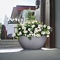 Cubeto color planteurne plantekrukke blomsterkrukke selvvannende uterom innerom Lechuza Blomsterkasseriet 66.jpg