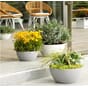 CUBETO Stone 30 steingrå plantekrukke selvvanning bolle blomsterkrukke lechuza blomsterkasseriet 1 kopi_1.jpg