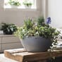 Cubeto Stone Steingrå plantekrukke selvvanningskar bolle plantebolle bordbeplanting lechuza blomsterkasseriet 77.jpg