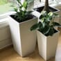 Cubico color 22 og 30 plantekrukker hvite hvit potte blomsterpotter lechuza blomsterkasseriet liljer dekor interiør.jpg